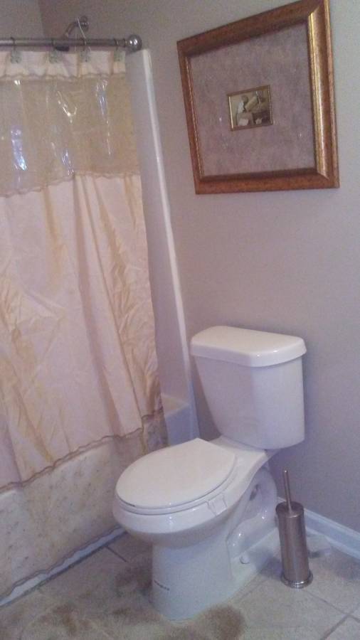 Room for Rent (Airport/ ) Business Professional (Atlanta)